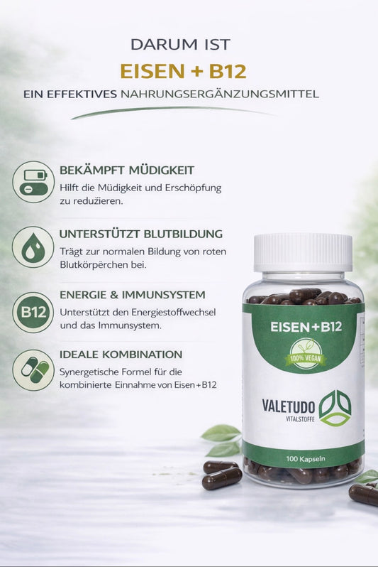 Eisen + B12 – Für Blutbildung, Energie & geistige Leistung | 3-Monats-Packung