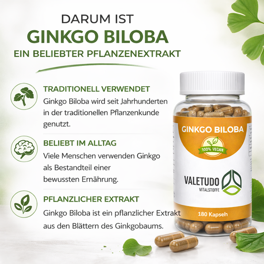 Ginkgo biloba – Unterstützung für geistige Aktivität | 6-Monats-Packung