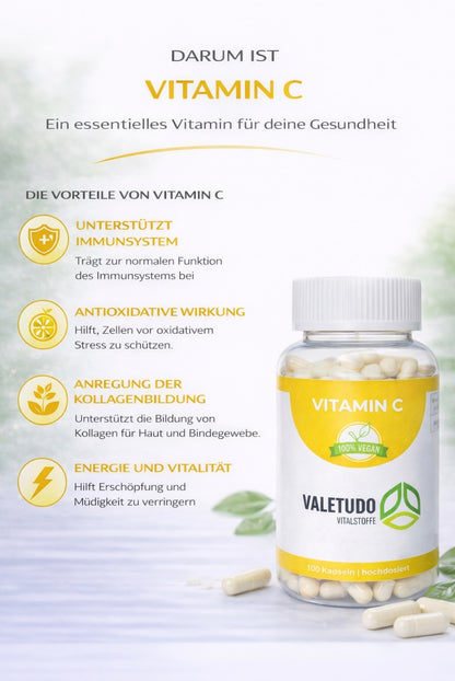 Vitamin C – Hochdosiert für Immunsystem & Zellschutz | 3-Monats-Packung
