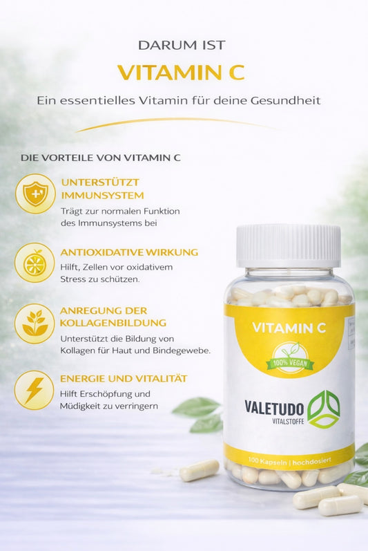 Vitamin C – Hochdosiert für Immunsystem & Zellschutz | 3-Monats-Packung