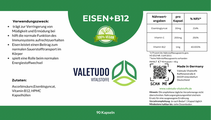 Eisen + B12 – Für Blutbildung, Energie & geistige Leistung | 3-Monats-Packung