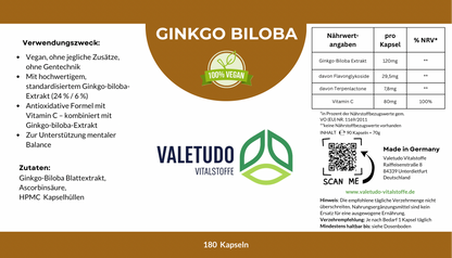 Ginkgo biloba – Unterstützung für geistige Aktivität | 6-Monats-Packung