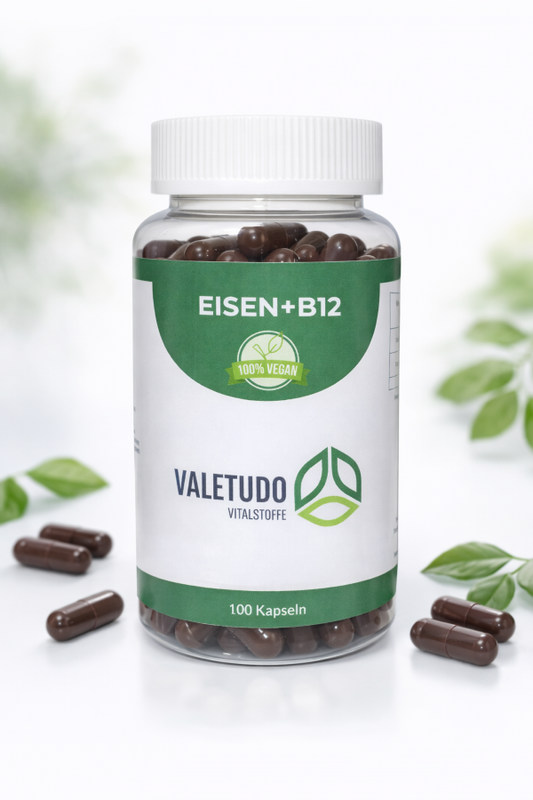 Eisen + B12 – Für Blutbildung, Energie & geistige Leistung | 3-Monats-Packung